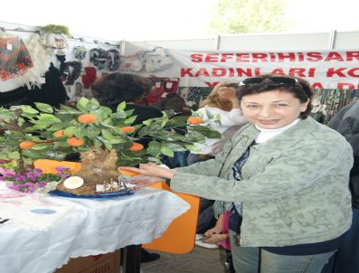 SALYANGOZ - Seferihisar'da Mandalina Festivali Başladı