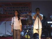 Çukurova Halk Kültür Festivali