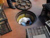 Benzeri ancak filmlerde görülür