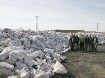 Kilis'te Kömür Dağıtımı Sürüyor