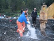 At Etleri İmha Edildi