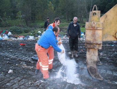 At Etleri İmha Edildi