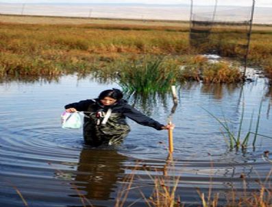 KıLKUYRUK - Kuş Halkalama Çalışmları Sona Erdi