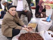 Türkiye'de En Kaliteli Kestane Simav'da Yetişiyor