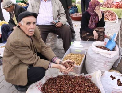 Türkiye'de En Kaliteli Kestane Simav'da Yetişiyor