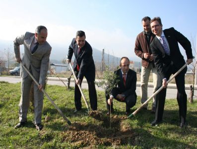 Avustralya Konsolosluğu Eceabat'a 95 Barış Fidanı Dikti