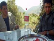 Öldürülen bir teröristin üzerinden çıktı