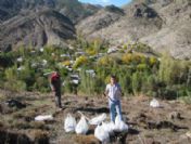 Gümüşhane'nin Dibekli Köyünde Bin 500 Çam Fidanı Toprakla Buluştu