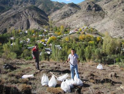 Gümüşhane'nin Dibekli Köyünde Bin 500 Çam Fidanı Toprakla Buluştu