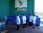 Havran'da Kaymakamlar Dev Zeytin Tesisini Gezdiler