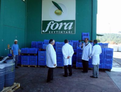 OSMAN TUNÇ - Havran'da Kaymakamlar Dev Zeytin Tesisini Gezdiler