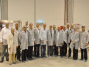 Japonlar Ve Çinliler Türk Zeytin Ve Zeytinyağı Tesislerine Hayran Kaldı