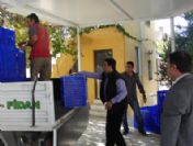 Zeytinde Modernleşmeye Doğru