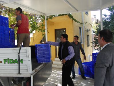 TARIŞ ZEYTIN - Zeytinde Modernleşmeye Doğru