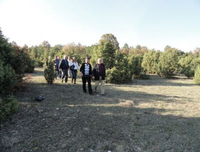 ÇEVRE VE ORMAN BAKANLıĞı - Bozüyük'e Kent Ormanı
