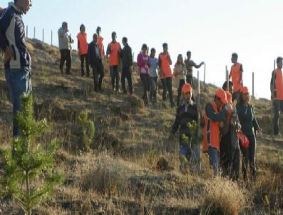 Erü Yeşil Nefes Ağaçlandırma Kulübü'nden Fidan Dikimi