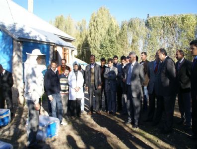 SINAN NIYAZI - Patnos'ta Arıcılık Kursu