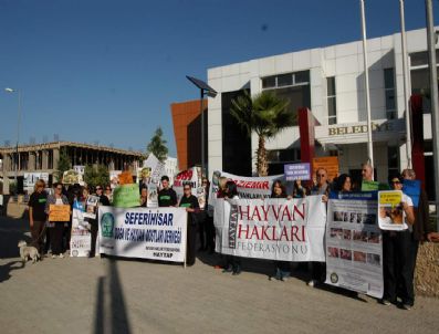 HAYVAN HAKLARı FEDERASYONU - Seferihisar'da Hayvanseverlerin Tepkisi Büyüyor