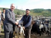 Başkan Tatlıoğlu Hayvan Pazarını Denetledi