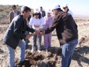 Nevşehir Üniversitesi'nde Ağaçlandırma Çalışmaları