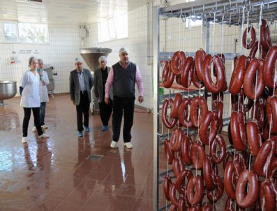 KADAYıF - Vali Tapsız Organize Sanayi Bölgesi'ni Ziyaret Etti