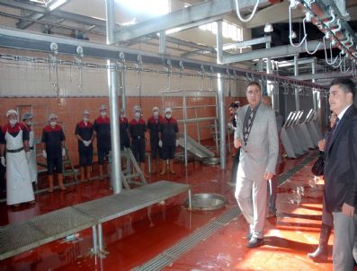 NURULLAH ERTAŞ - Van'da Yap-işlet-devret Modeli İle Yapılan Mezbahane Hizmete Açıldı