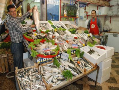 Karadeniz'den Siverek'e Taze Balık Keyfi