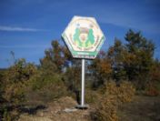 Kütahya'ya Bir Bal Üretim Ormanı Daha