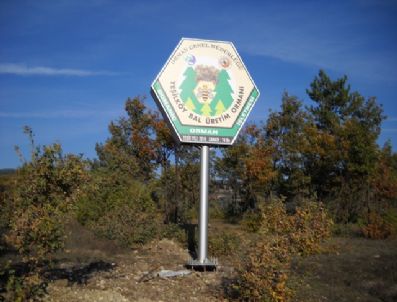 İĞDE - Kütahya'ya Bir Bal Üretim Ormanı Daha