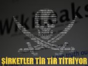 İnternet ordusu giderek büyüyor