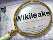 WikiLeaks destekçisi bir bilgisayar korsanı yakalandı