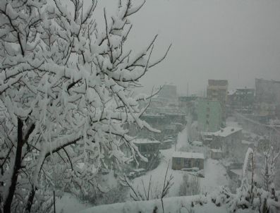 Hakkari'de Kar Kalınlığı 30 Santimetreyi Geçti