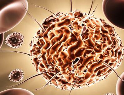 SPERM - 2 organın dokusu kök hücreden elde edildi