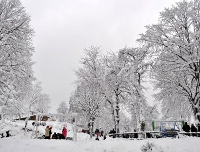 Doğu'da kar yağışı ulaşımı olumsuz etkiliyor