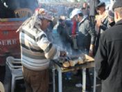 Mumcular 7. Geleneksel Deve Güreşleri Festivali