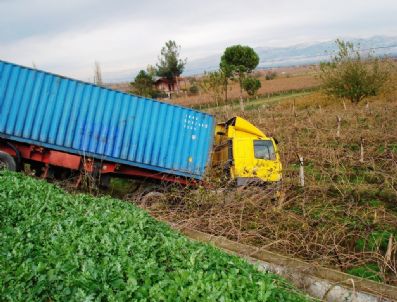 Tır Üzüm Bağına Girdi