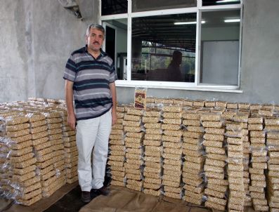 Tmo İç Fındığı Alaplı'dan