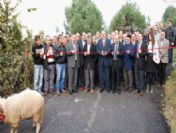 Asfaltlanan Yolun Açılışını Mahalleli Yaptı