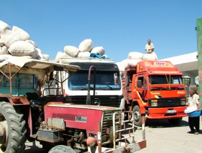 ÇUKOBIRLIK - Çukobirlik'te 2010-2011 Kampanya Dönemi Sona Erdi