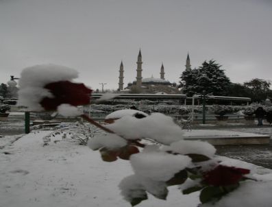 SELIMIYE CAMII - Edirne Kara Teslim