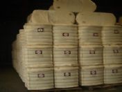 Pamukta Gdo'suz Etiketlemesi Başladı