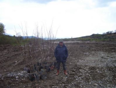 ZEKI ÜNAL - Kastamonu'da Badem Vadisi Kurulacak