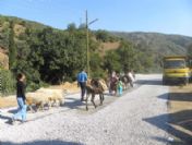 Özel İdaresi 2010 Yılında Bin 500 Kilometre Yol Onardı