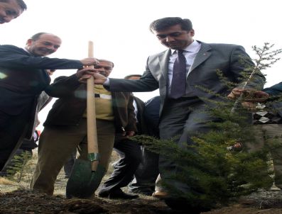 Beybes'te 8 Bin 500 Fidan Toprakla Buluştu