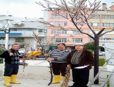 FIKRET AKOVA - Burhaniye De 2011 Hazırlığı