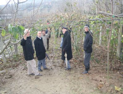 ÇAYDEĞIRMENI - Devrekli Kursiyerler Meyve Bahçelerini İnceledi