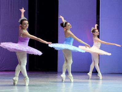 SELIM YıLMAZ - Fındıkkıran Balesi Sanatseverlerle Buluşuyor