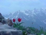 Turizme katkı sağlayacak