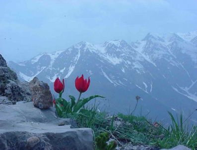 Turizme katkı sağlayacak