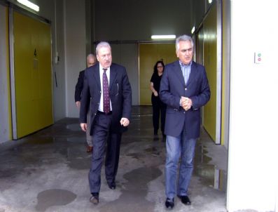 MEHMET ÖZ - Osb Yönetim Kurulu Başkanı Okay, Tesisleri İnceledi